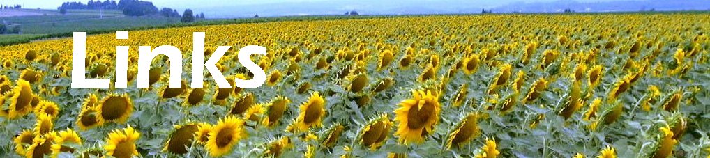 Sunflowers Biodiesel Picture of Sunfowers- Pretty, aren't they?